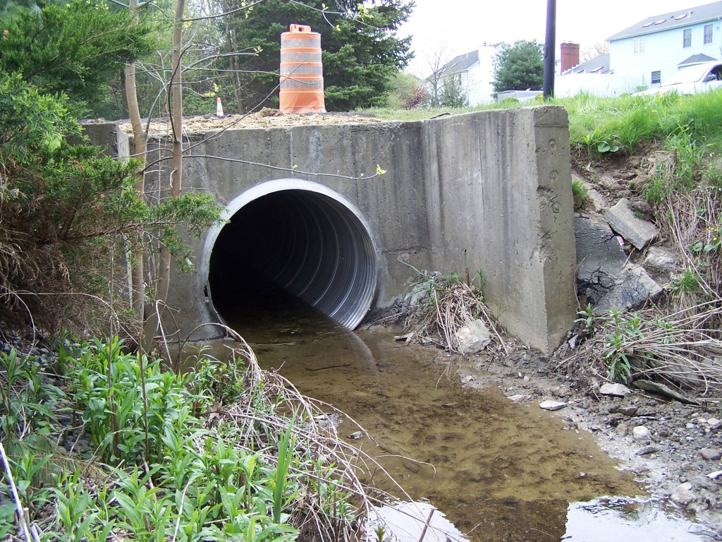 Beaver Trail - Culvert