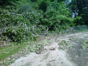 June 2011 Cemetery Storm Damage 4